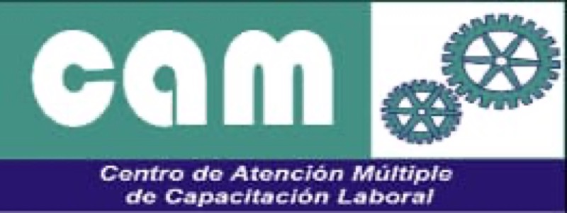 Logo de CENTRO DE ATENCIÓN MÚLTIPLE “LEV SEMIONOVICH VIGOTSKY”