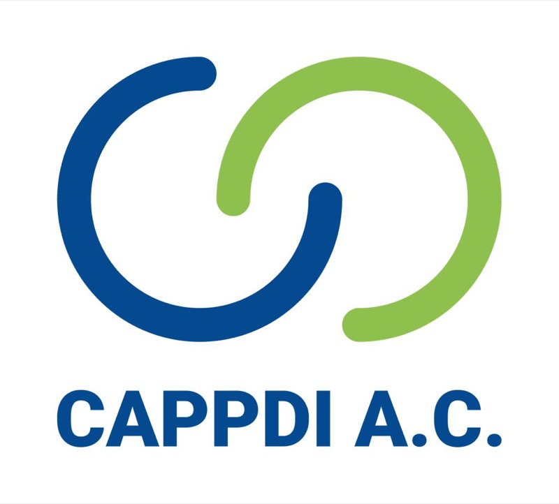 Logo de CENTRO DE ATENCION PSICO PEDAGOGICA Y DESARROLLO INFANTIL CAPPDI AC