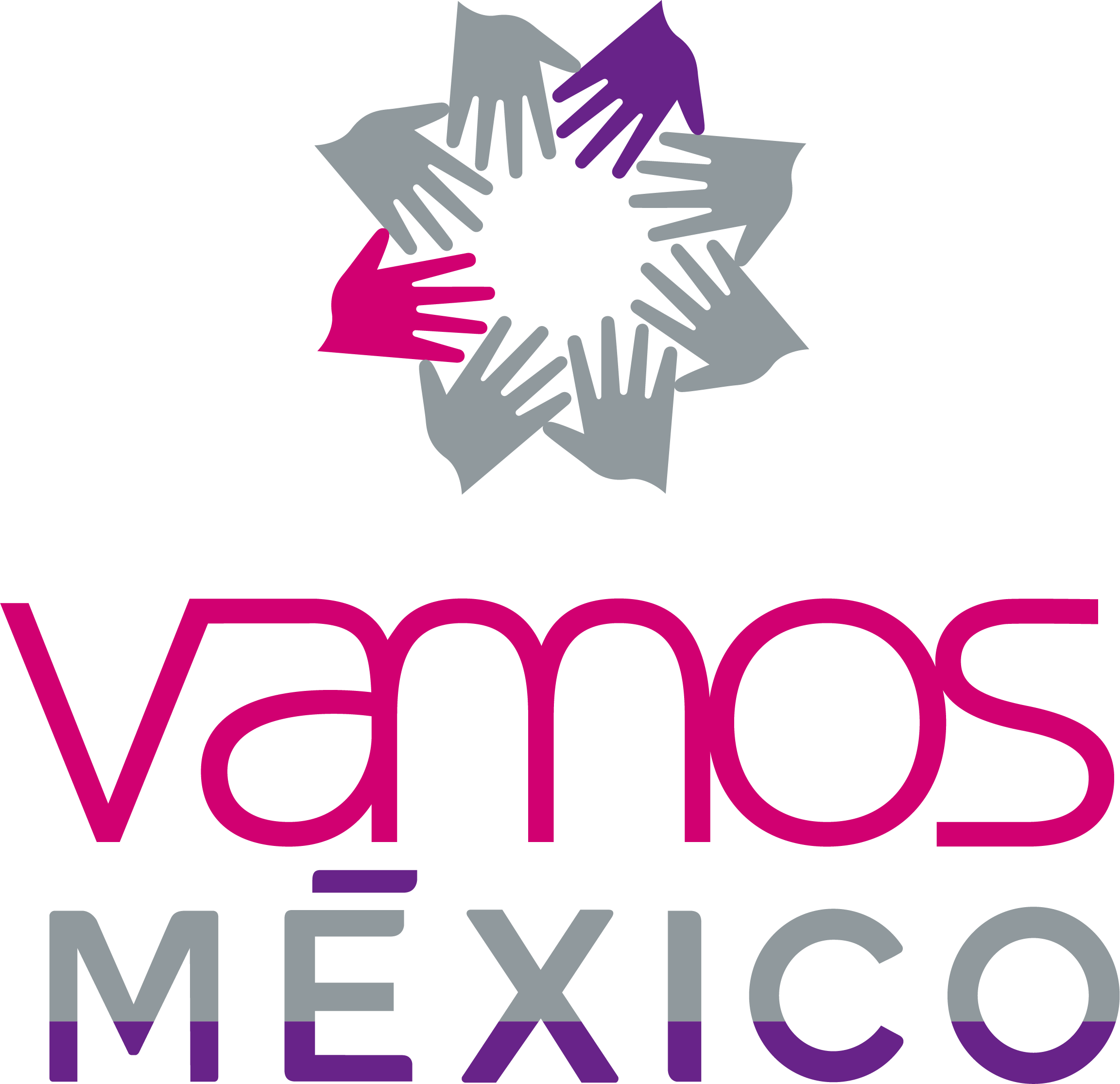 Logo de FUNDACION VAMOS MEXICO AC