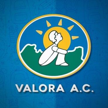 Logo de VINCULOS DE APOYO PARA LOGRAR LA RECUPERACION AUTISTA EN PUEBLA AC